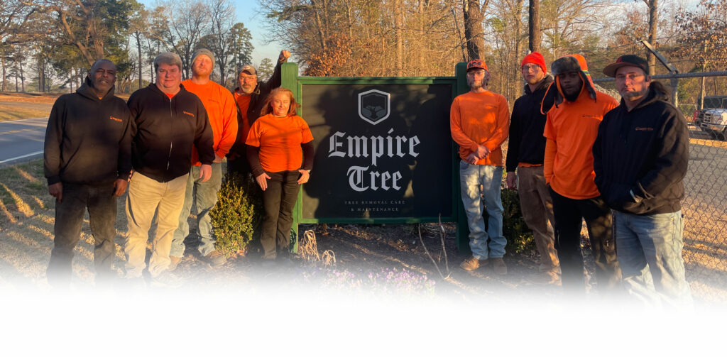 Empire Tree Team